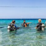 Two and a Half Hours Scuba Diving Experience in Curacao - Who Should Consider This Experience?