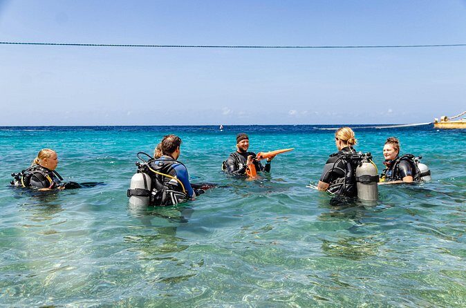 Two and a Half Hours Scuba Diving Experience in Curacao