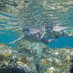 Two Stop Snorkel and Shipwreck from Dockyard - Who Will Love This Tour?