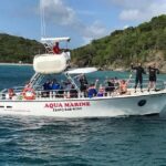 Two-Tank Dive for Certified Diving in St Thomas - The Guides and Crew