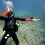 Two Tanks Scuba Diving Tour at Catalina Islands & North Island - CR - FAQ