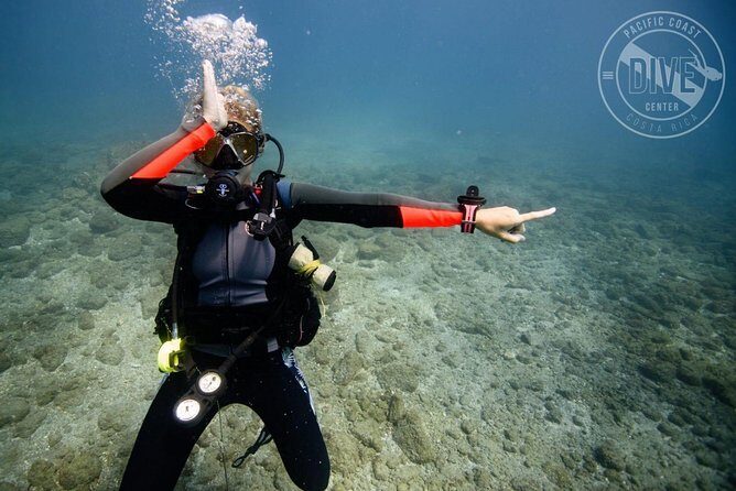 Two Tanks Scuba Diving Tour at Catalina Islands & North Island - CR - FAQ