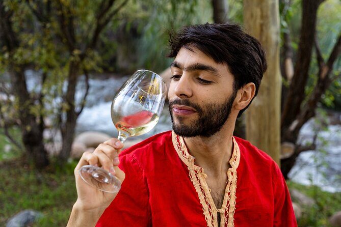 Uco Deluxe: Best wineries and real asado argentino - Who Should Consider This Tour?