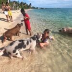 Ultimate SeaXscape Pigs/Turtles/Snorkel/Lunch/Drinks/PU/DO - FAQ