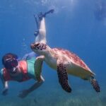 Under the Sea snorkeling(Stingray/Kayak/ Power Snorkel available) - FAQ