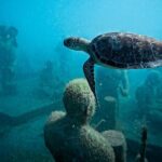 Underwater Sculpture Park Snorkel Adventure - Final Thoughts
