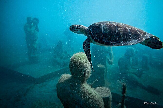 Underwater Sculpture Park Snorkel Adventure - Final Thoughts