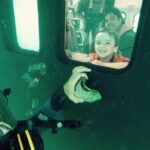 Underwater Whale Watching in Puerto Piramides - A Deep Dive into the Underwater Whale Watching Tour