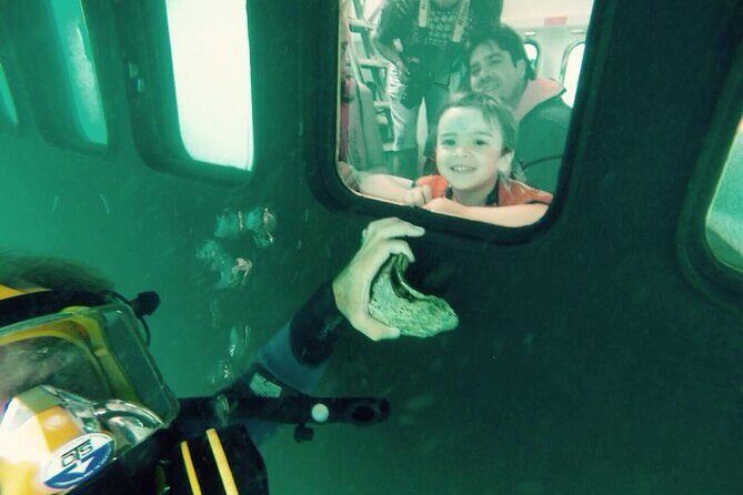 Underwater Whale Watching in Puerto Piramides - A Deep Dive into the Underwater Whale Watching Tour