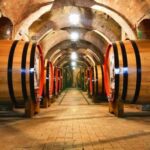 Undurraga Wine tour - What Travelers Say