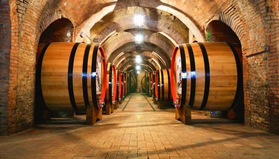 Undurraga Wine tour - What Travelers Say