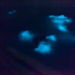 Unforgettable One Day Bioluminescent Kayak Adventure in Vieques - What to Expect During the Itinerary