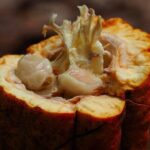 Unforgettable Week in the Dominican Republic - Final Thoughts