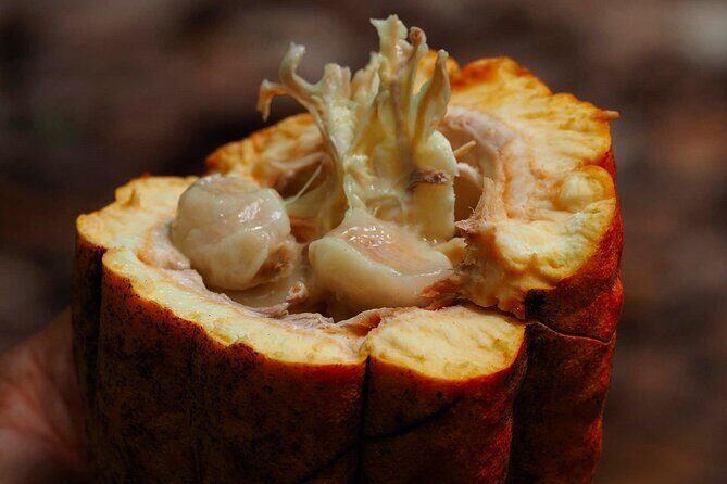 Unforgettable Week in the Dominican Republic - Final Thoughts