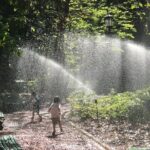 Unique Tailored Tours - The Hummingbird Trip - What’s Included and What to Budget For