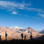 Unveiling Cafayate: Premium Wine Road Adventure - FAQ