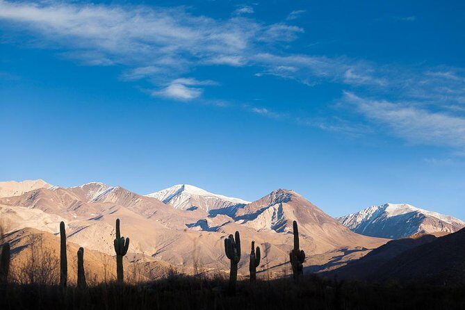 Unveiling Cafayate: Premium Wine Road Adventure - FAQ