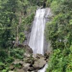 USDA El Yunque National Forest and Luquillo Beach Tour - Authenticity and Adventure: What Travel Lovers Will Appreciate