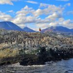 Ushuaia: Beagle Channel and Penguin Island - Exploring the Itinerary and What to Expect