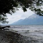 Ushuaia: Beagle Channel and Penguin Island Boat Tour - Final Thoughts