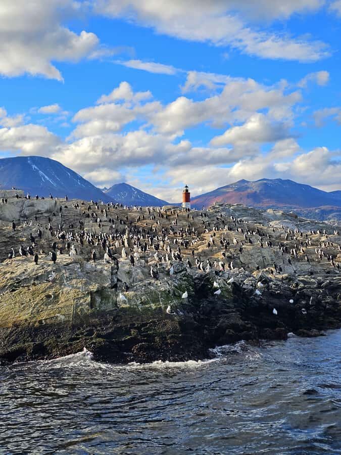 Ushuaia: Beagle Channel and Penguin Island - Exploring the Itinerary and What to Expect