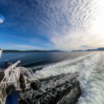 Ushuaia: Beagle Channel, Seal Island & Bridges Islands Tour - What to Expect and Practical Tips
