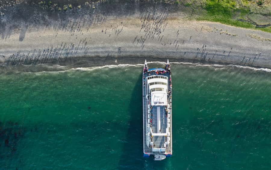 Ushuaia: Catamaran Sailing to Penguin Island - A Detailed Look at the Catamaran Sailing Adventure