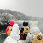 Ushuaia: Full day Trekking and Canoeing in Tierra del Fuego National Park - Pricing and Value