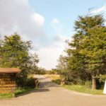 Ushuaia: National Park & Train of the End of the World Tour - The Experience in Detail: What You’ll Love and What Might Disappoint