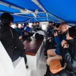 Ushuaia: Penguins Watching Tour by boats from Puerto Almanza - A Closer Look at the Ushuaia Penguins Watching Tour