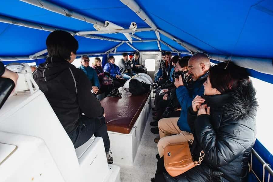 Ushuaia: Penguins Watching Tour by boats from Puerto Almanza - A Closer Look at the Ushuaia Penguins Watching Tour