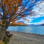 Ushuaia: Tierra del Fuego National Park Shore Excursion - Authenticity and Value