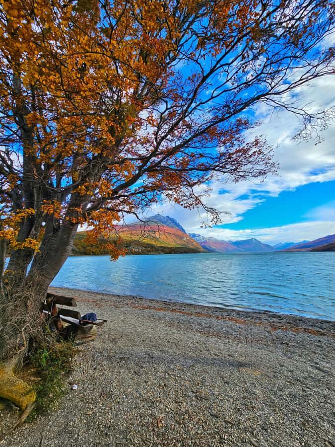 Ushuaia: Tierra del Fuego National Park Shore Excursion - Authenticity and Value