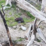 Ushuaia: Visit to Escondido and Fagnano Lakes PM - A Deep Dive into the Experience