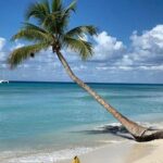 Uvero Alto Hotels - Private Round Trip from Punta Cana Airport - Final Thoughts