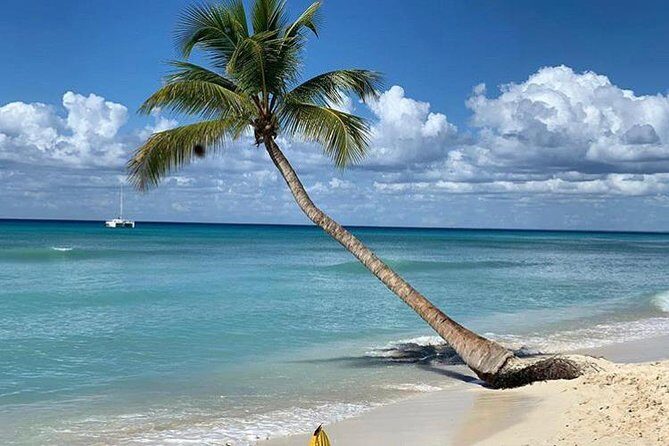 Uvero Alto Hotels - Private Round Trip from Punta Cana Airport - Final Thoughts