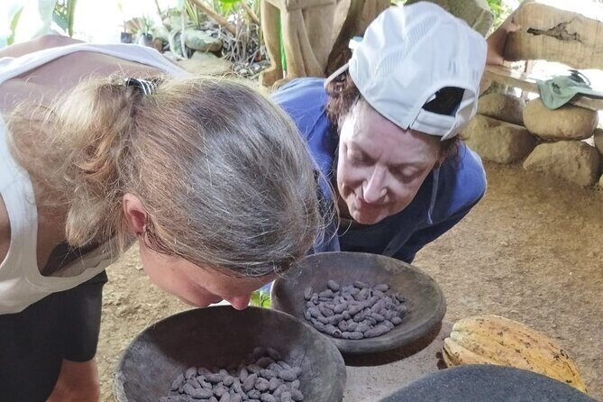Uvita Chocolate Tour - Why This Tour Offers Great Value