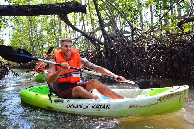 Uvita: Marino Ballena National Park Mangroves - Sea Kayaking - Who Should Book This Tour?