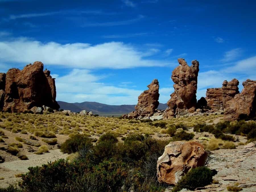 Uyuni: 2-day tour to the salt flat and altiplanic lagoons - What’s Included & What You Should Know