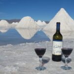 Uyuni: Full-Day Salt Flats Tour - Why This Tour Offers Great Value