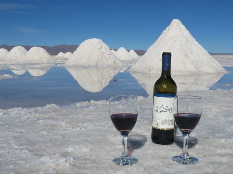 Uyuni: Full-Day Salt Flats Tour - Why This Tour Offers Great Value