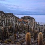 Uyuni: Salar de Uyuni Day Tour with Bus Transfer from La Paz - Exploring the Salar de Uyuni: What To Expect