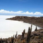 Uyuni Salt Flat and Incahuasi Island 5 days - The Ultimate 5-Day Journey to Bolivia’s Salt Flats