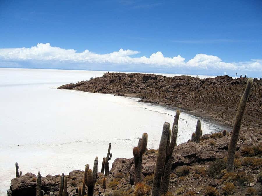 Uyuni Salt Flat and Incahuasi Island 5 days - The Ultimate 5-Day Journey to Bolivia’s Salt Flats