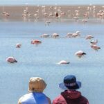 Uyuni Salt Flat + Death Road / 5 Day Tour from La Paz City - Authentic Experiences & Traveler Insights