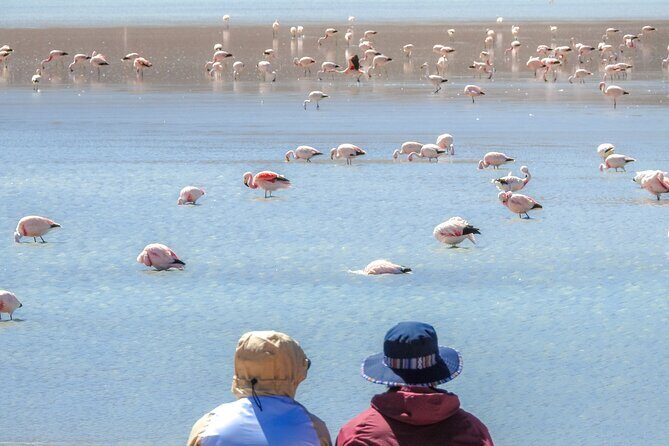 Uyuni Salt Flat + Death Road / 5 Day Tour from La Paz City - Authentic Experiences & Traveler Insights