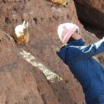 Uyuni Salt Flat Tour from San Pedro de Atacama 3D/2N+Hostal - Who Is This Tour Best For?