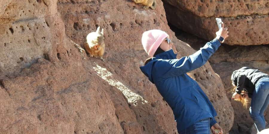 Uyuni Salt Flat Tour from San Pedro de Atacama 3D/2N+Hostal - Who Is This Tour Best For?