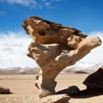 Uyuni Salt Flats 2 days - Who Should Choose This Tour?