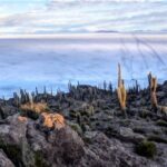 Uyuni Salt Flats (3 Days) English Speaking Guide - Day Three: Volcanic Wonders and Geothermal Activity
